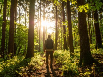 Trauma and addiction,